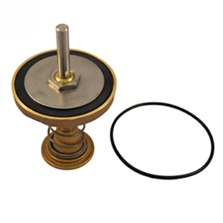 Apollo/Conbraco 100mm 40-100 DCV Spare Parts - Image 2