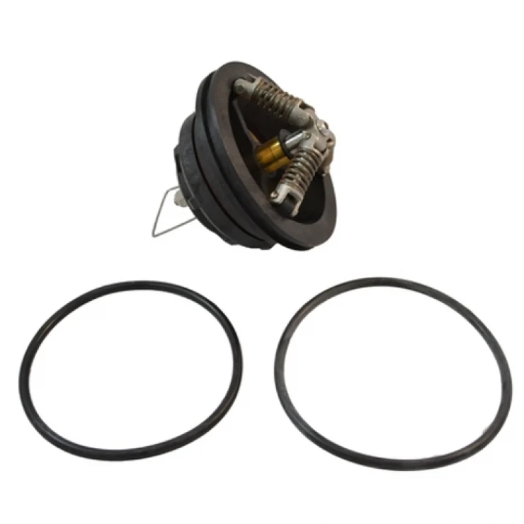 Apollo/Conbraco 65/80mm 4A-100 DCV Spare Parts - Image 2