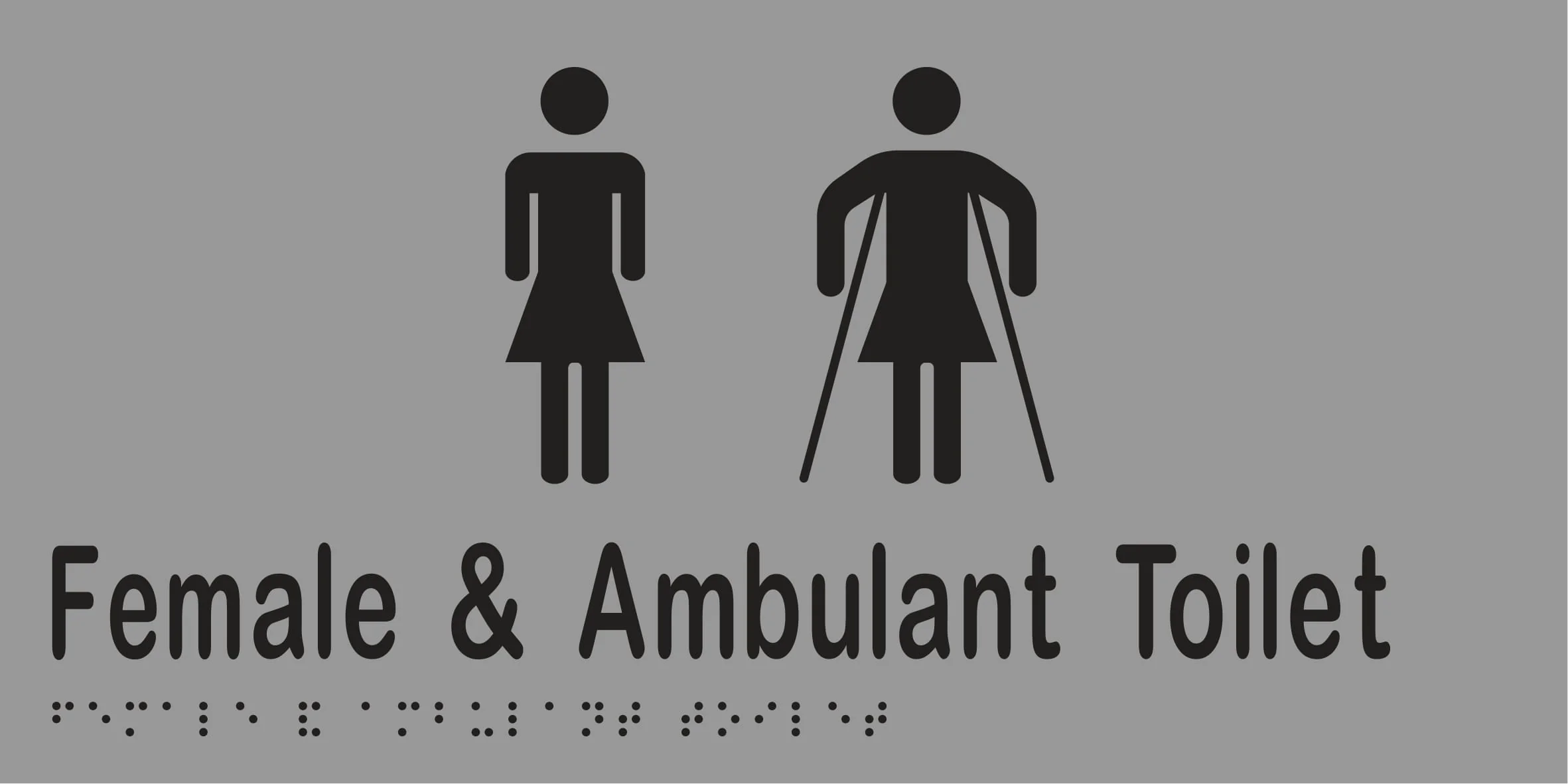 Female & Ambulant Toilet Braille 300mmW x 150mmH - Image 3