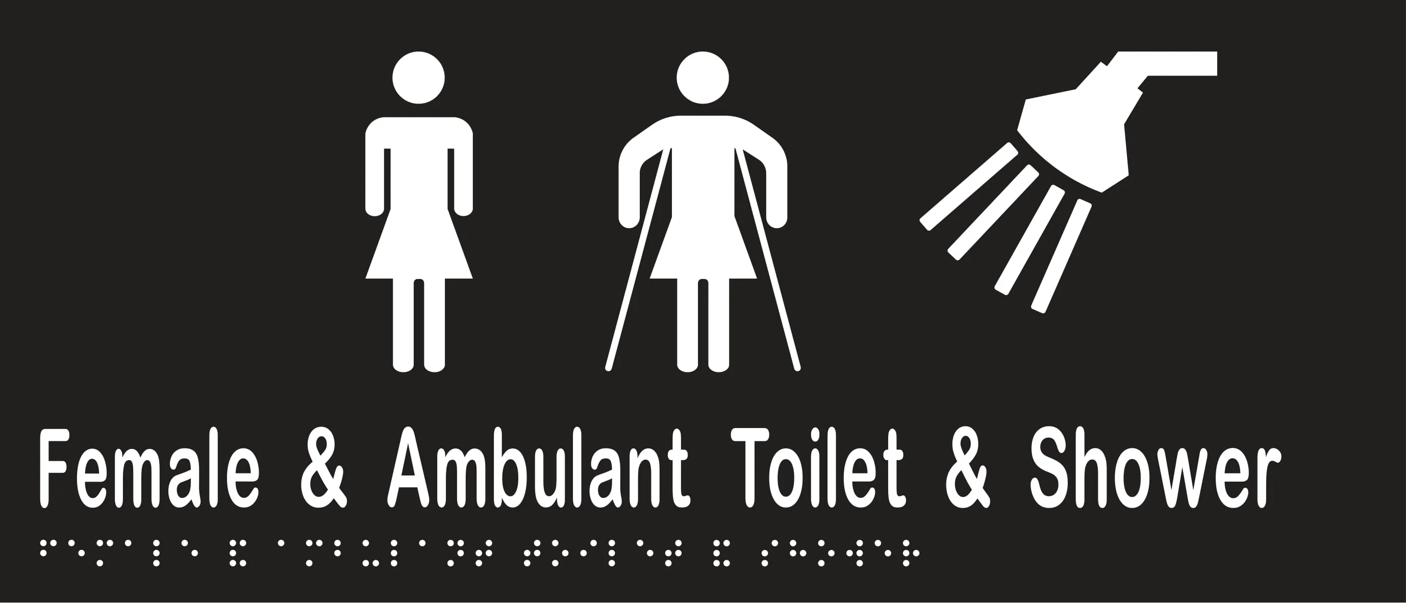 Female & Ambulant Toilet & Shower 350mmW x 150mmH - Image 2