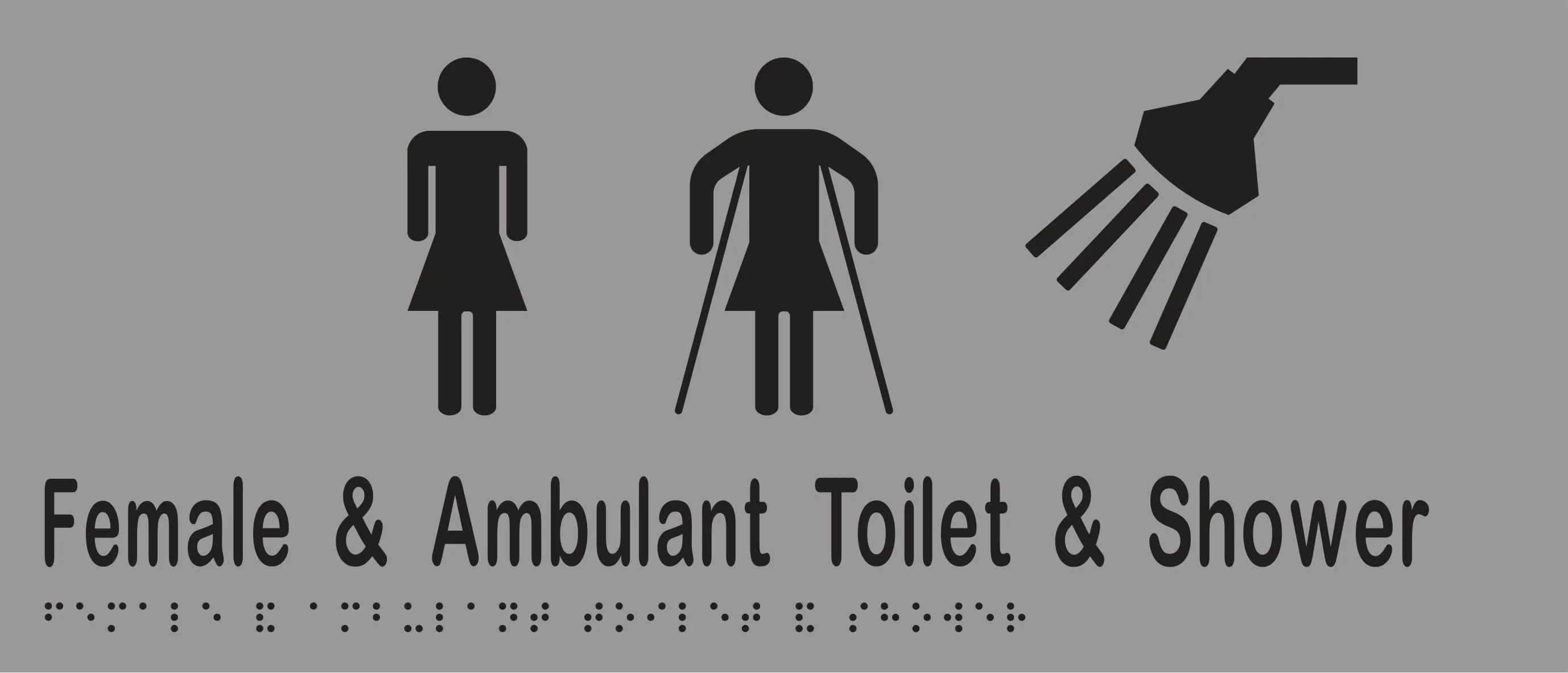 Female & Ambulant Toilet & Shower 350mmW x 150mmH - Image 3