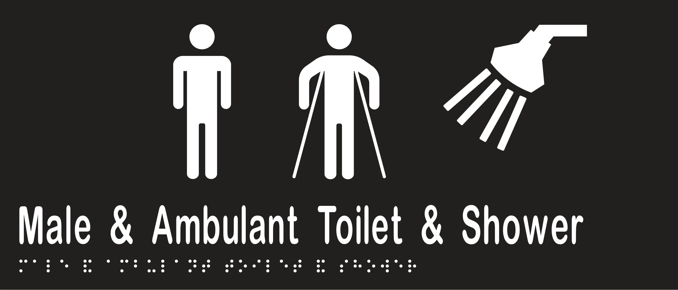 Male & Ambulant Toilet & Shower 350mmW x 150mmH - Image 2