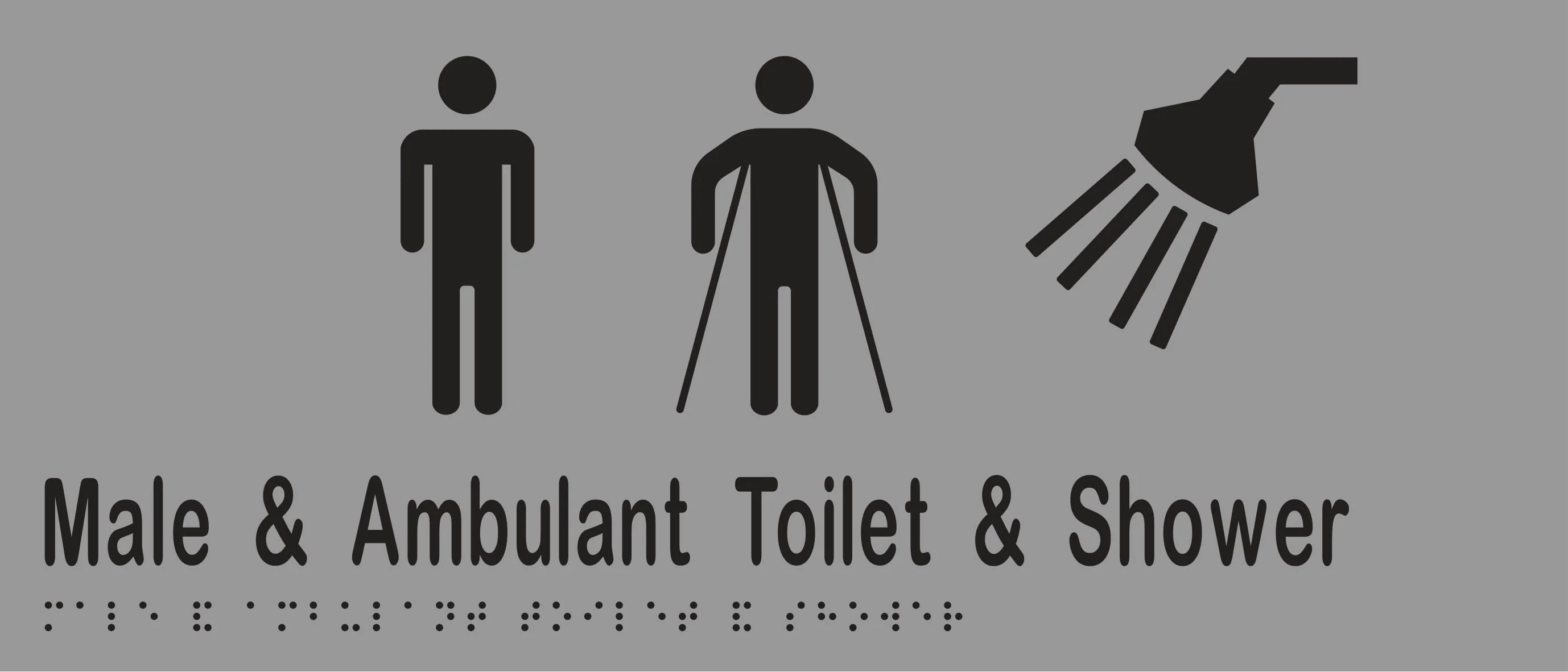 Male & Ambulant Toilet & Shower 350mmW x 150mmH - Image 3