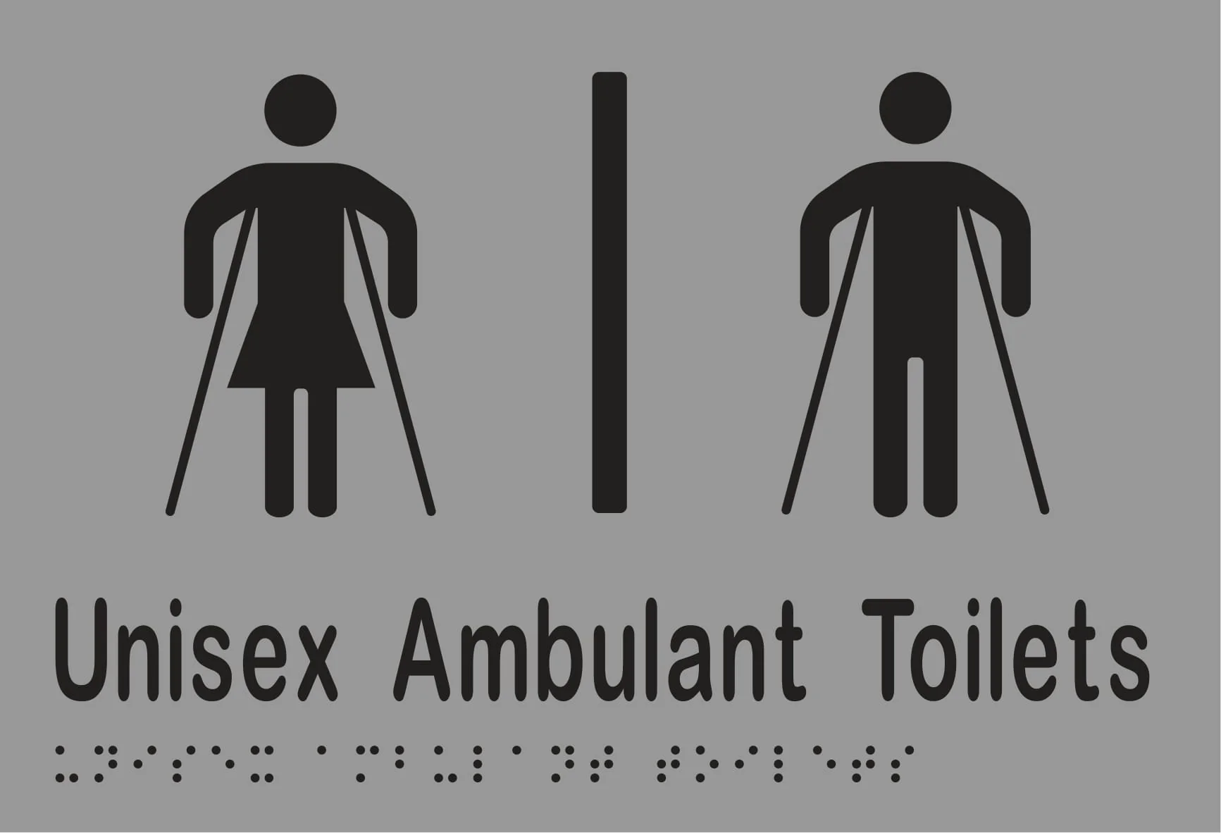 Unisex Ambulant Toilet Divided Braille 220mmW x 150mmH - Image 3